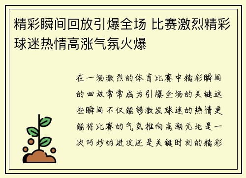 精彩瞬间回放引爆全场 比赛激烈精彩球迷热情高涨气氛火爆