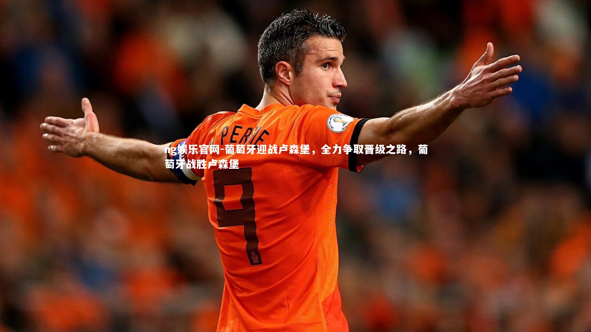 葡萄牙迎战卢森堡,全力争取晋级之路,葡萄牙战胜卢森堡